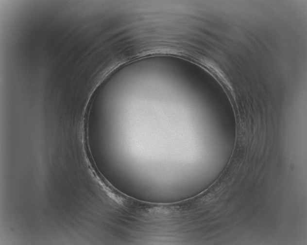 X0000073870898200608241131