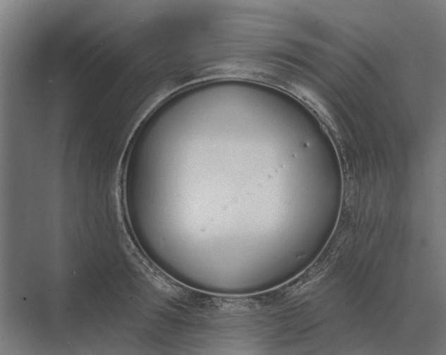 X0000073870899200608241131