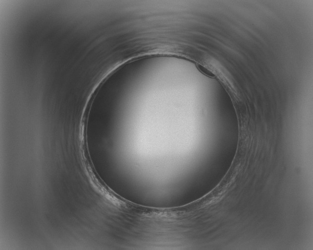 X0000073870900200608241131