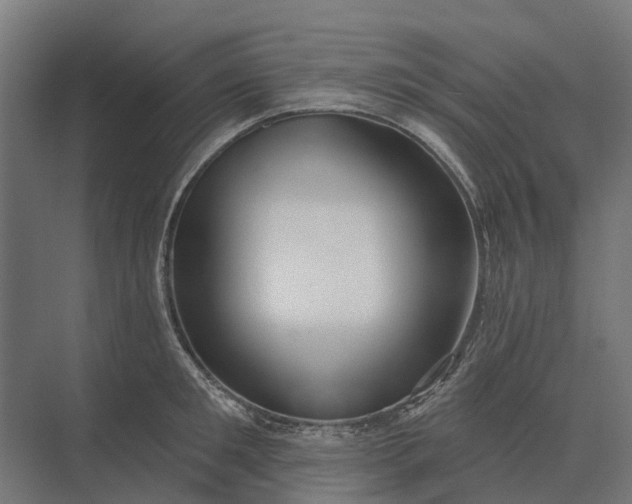 X0000073870901200608241131