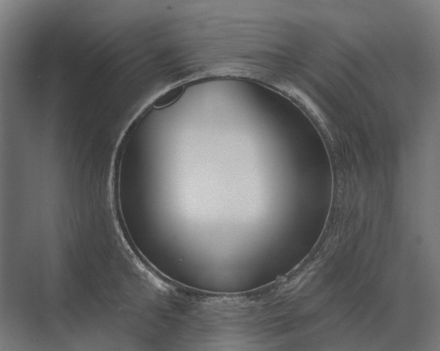 X0000073870902200608241131