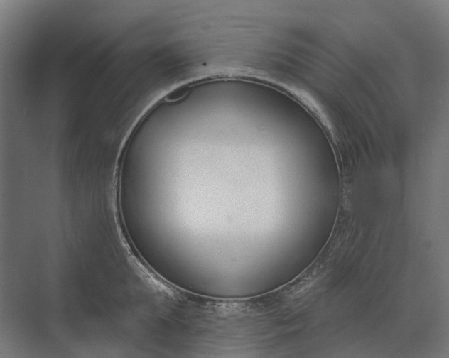 X0000073870903200608241131