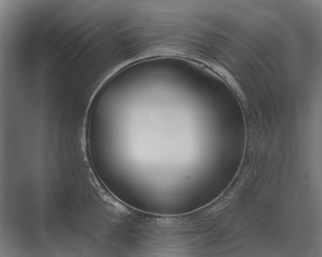 X0000073870904200608241131