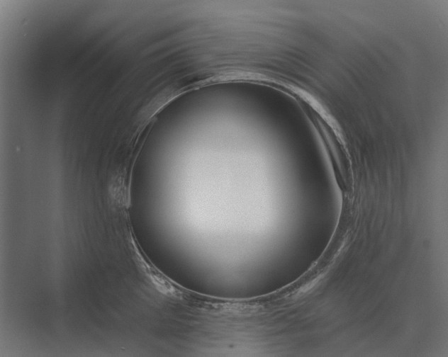 X0000073870905200608241131