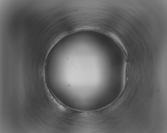 X0000073870906200608241131