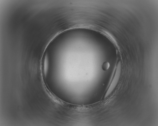 X0000073870907200608241131