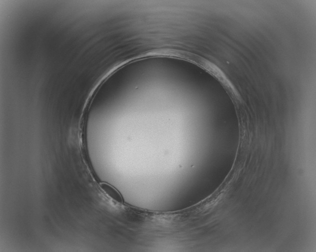 X0000073870908200608241131