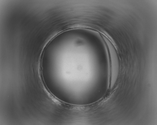 X0000073870909200608241131