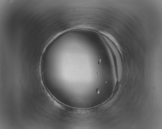 X0000073870910200608241131