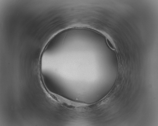 X0000073870911200608241131