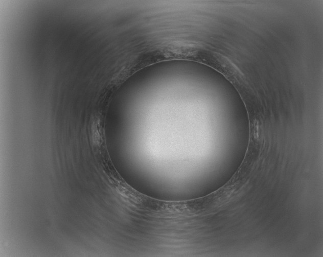 X0000073870915200608241130