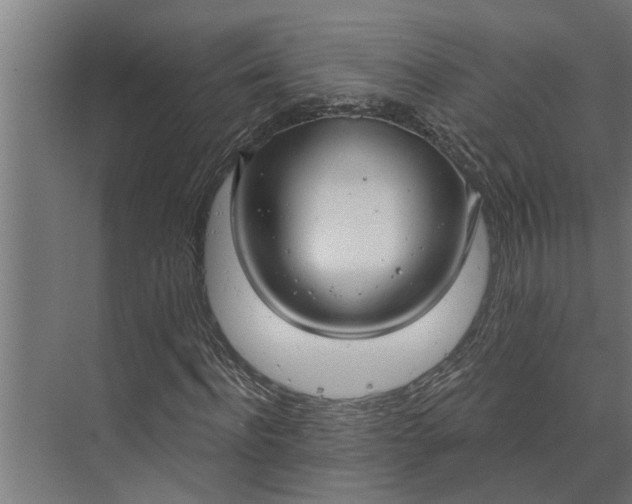 X0000073870916200608241130