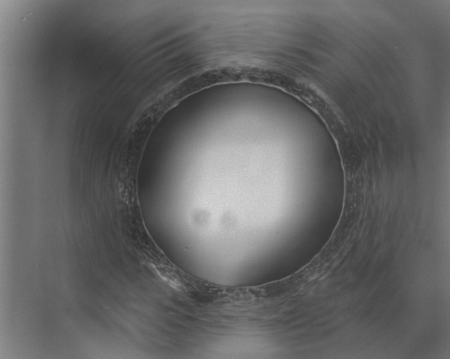 X0000073870919200608241130