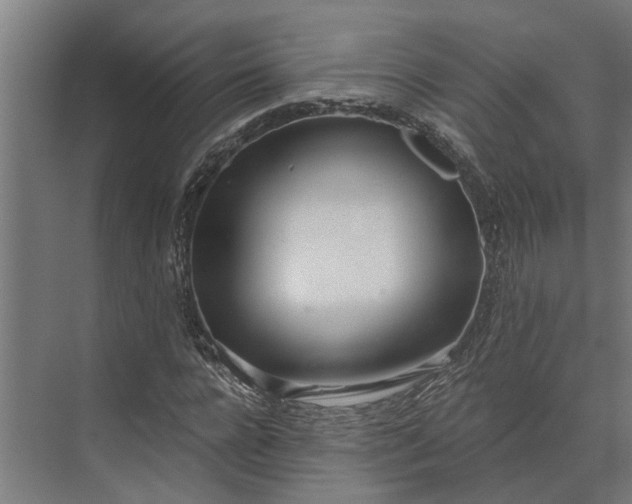 X0000073870920200608241130