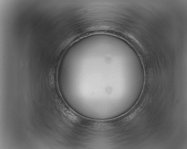 X0000073870921200608241130