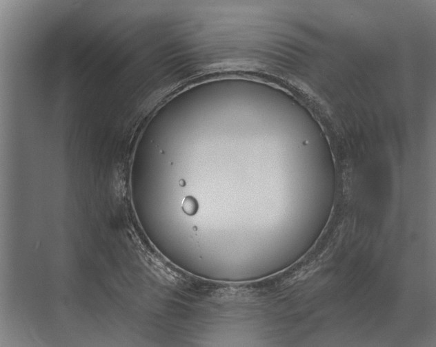 X0000073870929200608241131