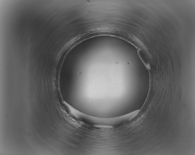 X0000073870930200608241131