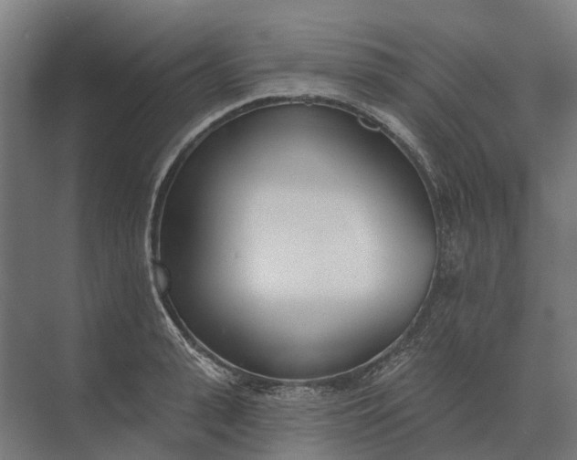 X0000073870943200608241131