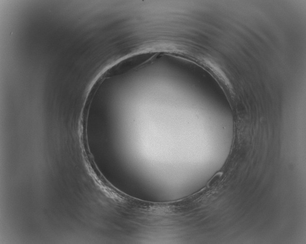 X0000073870944200608241131