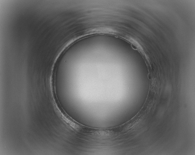 X0000073870947200608241131