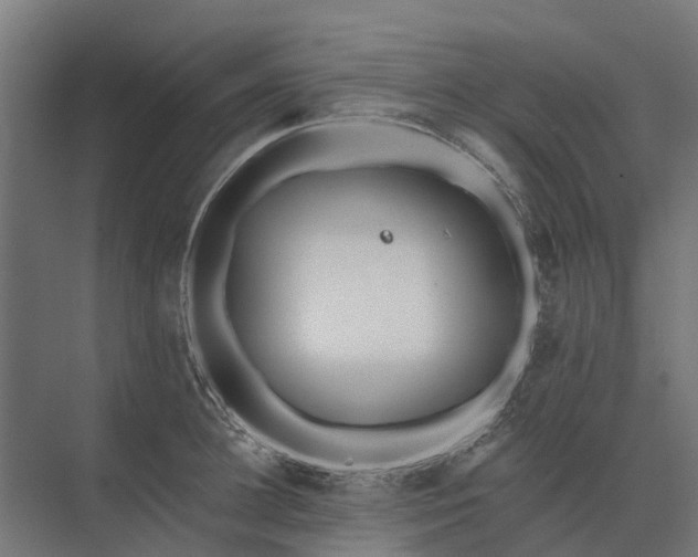 X0000073870948200608241131