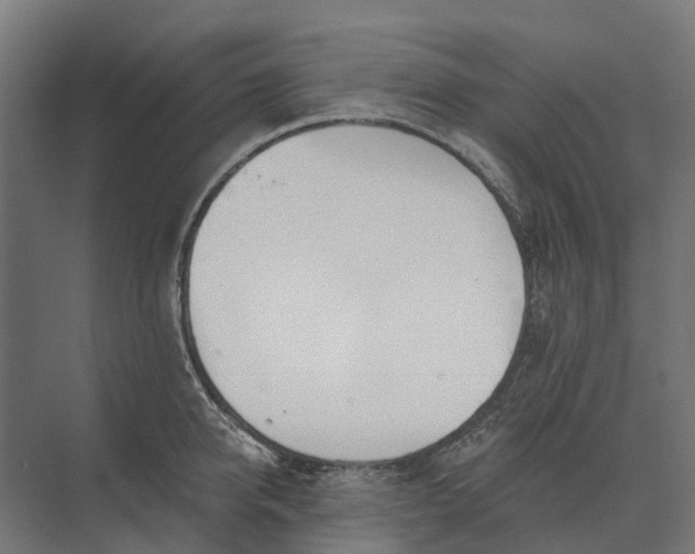 X0000073870950200608241131