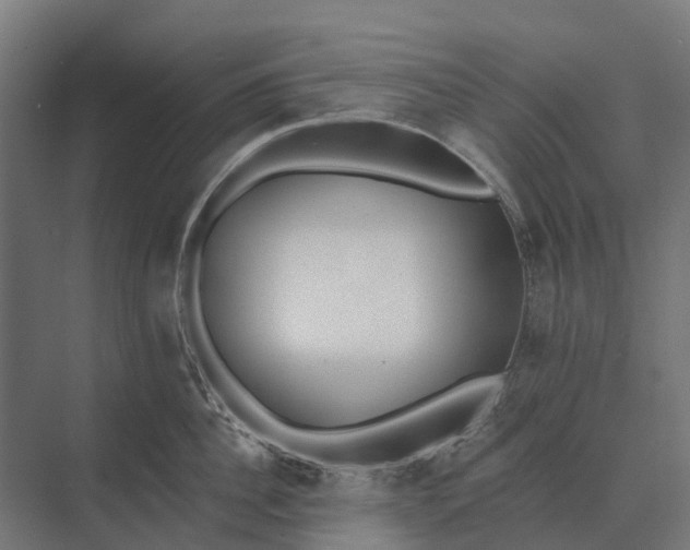 X0000073870956200608241131