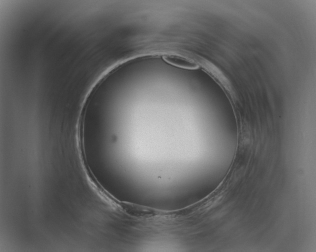 X0000073870958200608241131