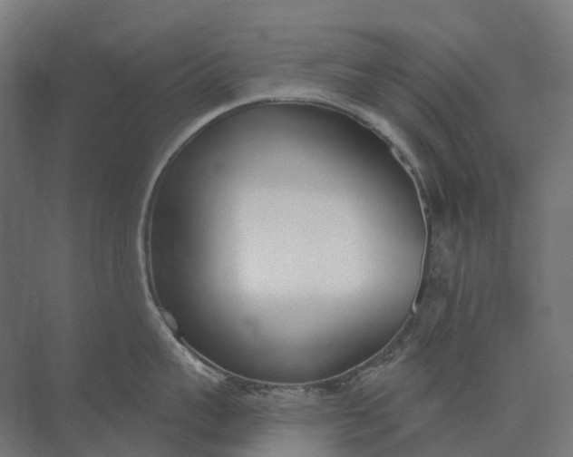 X0000073870959200608241131