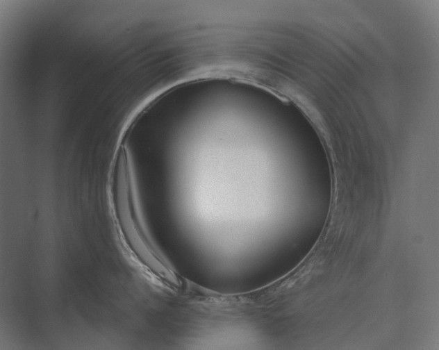 X0000073870960200608241131