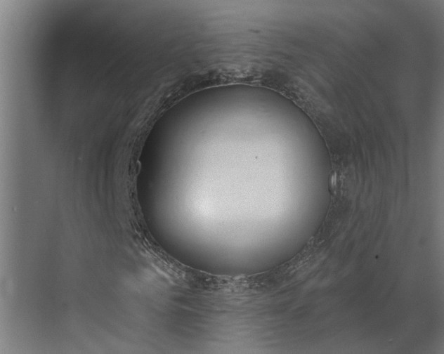 X0000073870961200608241130