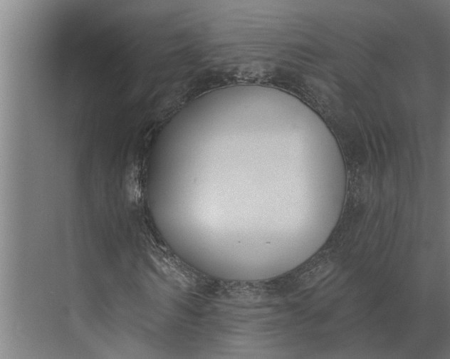 X0000073870962200608241130