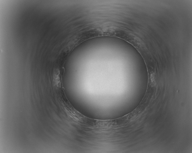 X0000073870963200608241130