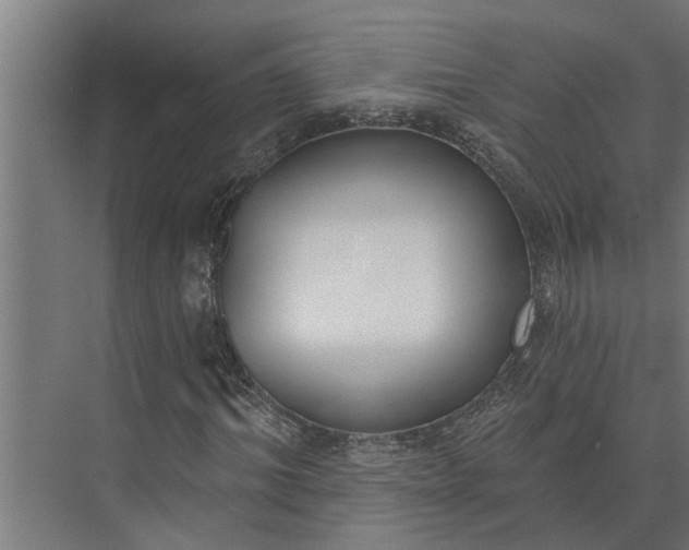 X0000073870964200608241130