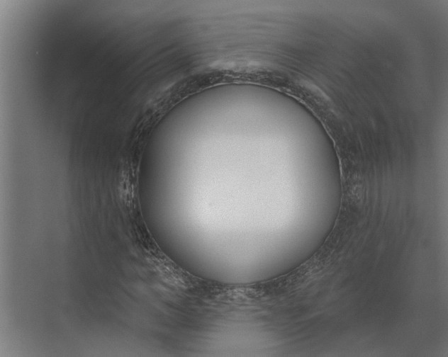 X0000073870966200608241130