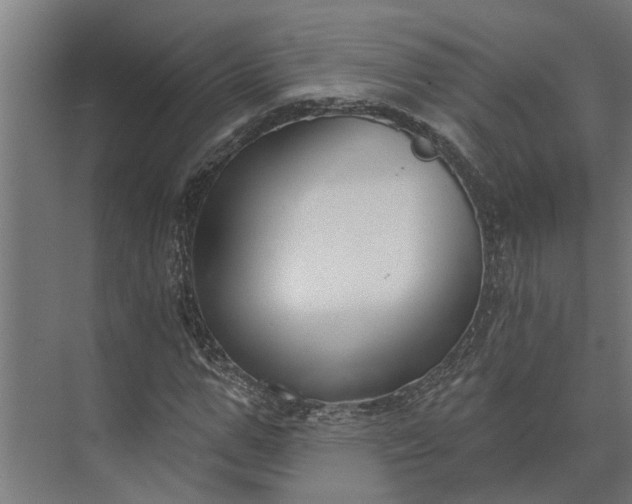 X0000073870967200608241130