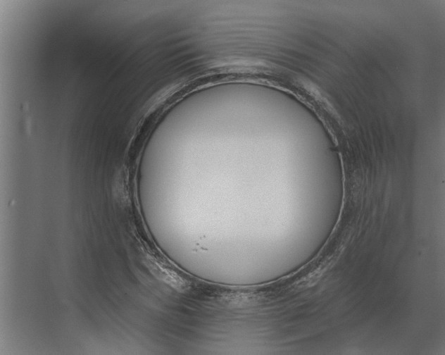 X0000073870970200608241130