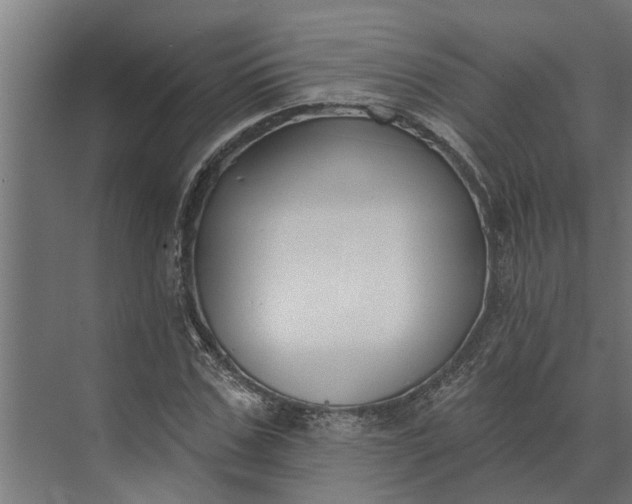 X0000073870971200608241130