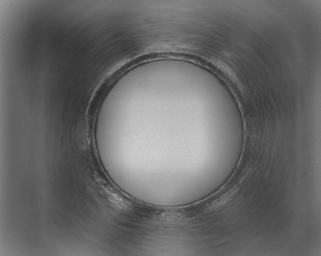 X0000073870974200608241130