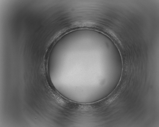 X0000073870978200608241130