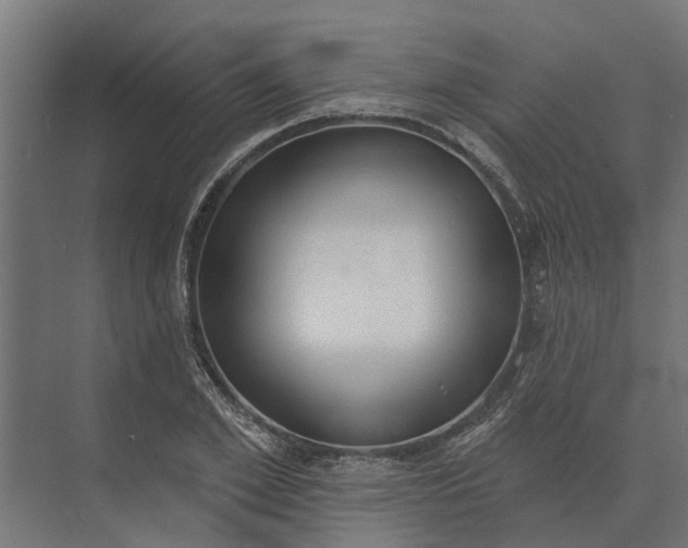 X0000073870981200608241130