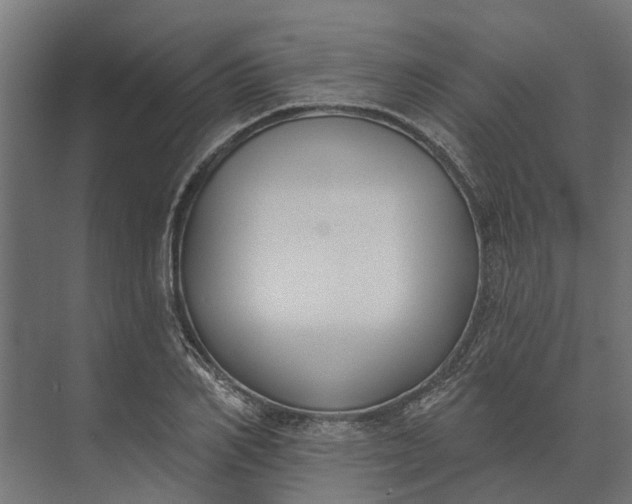 X0000073870982200608241130