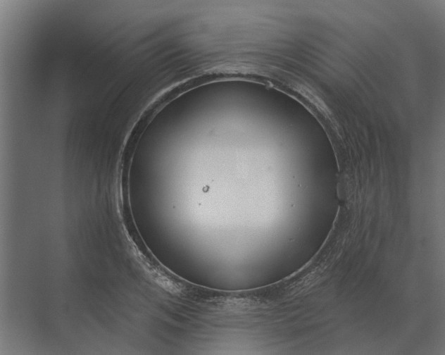 X0000073870984200608241130