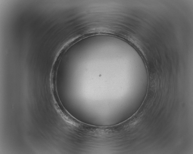 X0000073870987200608241130