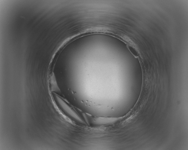 X0000073870989200608241130