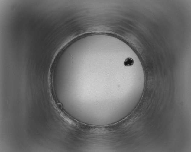 X0000073870990200608241130