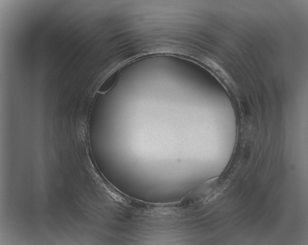 X0000073870993200608241130