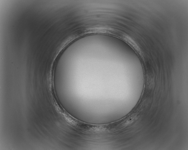 X0000073870994200608241130