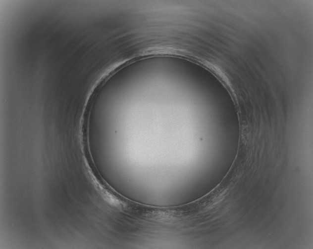 X0000073870995200608241130