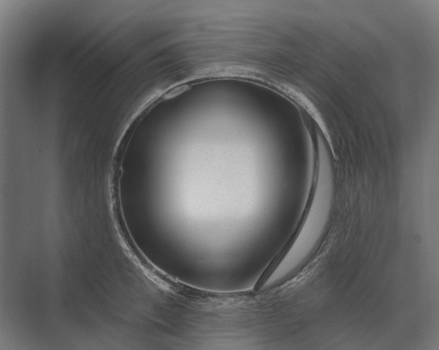 X0000073870997200608241130